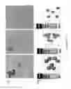 Fig. 45 - CATIONIC POLYMER COATED MESOPOROUS SILICA NANOPARTICLES AND USES THEREOF