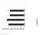 Fig. 70 - CATIONIC POLYMER COATED MESOPOROUS SILICA NANOPARTICLES AND USES THEREOF