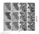 Fig. 77 - CATIONIC POLYMER COATED MESOPOROUS SILICA NANOPARTICLES AND USES THEREOF