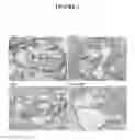 Fig. 05 - Treatment of cardiovascular disease and thrombosis