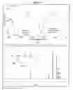 Fig. 03 - Pharmaceutical composition of nanoparticles