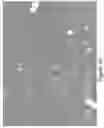 Fig. 07 - Selenium nanoparticles with improved biological effects