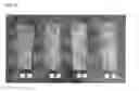 Fig. 04 - GLUTEN ADDITIVES FOR RICE BAKERY AND PREPARATION METHOD THEREOF