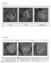 Fig. 06 - GLUTEN ADDITIVES FOR RICE BAKERY AND PREPARATION METHOD THEREOF