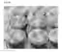 Fig. 07 - GLUTEN ADDITIVES FOR RICE BAKERY AND PREPARATION METHOD THEREOF