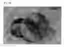 Fig. 28 - GLUTEN ADDITIVES FOR RICE BAKERY AND PREPARATION METHOD THEREOF