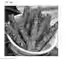 Fig. 30 - GLUTEN ADDITIVES FOR RICE BAKERY AND PREPARATION METHOD THEREOF