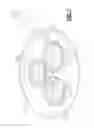 Fig. 08 - Egg Poacher and Method for Poaching