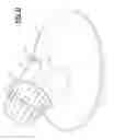 Fig. 12 - Egg Poacher and Method for Poaching