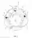 Fig. 02 - Inflatable cushion for ice cream maker