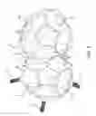 Fig. 04 - Inflatable cushion for ice cream maker