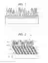 Fig. 02 - OPTICAL MEMBER, METHOD OF MANUFACTURING THE SAME, AND OPTICAL SYSTEM USING THE SAME