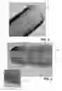 Fig. 03 - Procedure for obtaining graphene oxide nano-platelets and derivates and graphene oxide non-platelets thus obtained