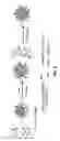 Fig. 06 - BIOACTIVATION OF PARTICLES