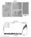 Fig. 08 - METHOD OF FABRICATING AMORPHOUS COATINGS ON CRYSTALLINE SUBSTRATES