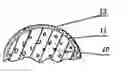 Fig. 01 - HEAT EXCHANGER DEVICE WITH HEAT-RADIATIVE COATING