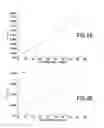 Fig. 06 - Method for quantifying proteins by mass spectrometry