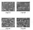 Fig. 07 - METHODS OF FORMING AGGREGATE PARTICLES OF NANOMATERIALS