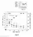 Fig. 07 - Three-dimensional bicontinuous heterostructures, method of making, and their application in quantum dot-polymer nanocomposite photodetectors and photovoltaics