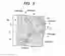 Fig. 06 - Semiconductor device and manufacturing method therefor