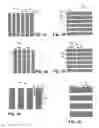 Fig. 02 - Alignment marks for polarized light lithography and method for use thereof