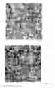 Fig. 02 - METHOD FOR ETCHING OF SILICON SURFACES