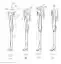 Fig. 02 - Doll having replaceable heads with multiple faces