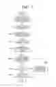 Fig. 06 - Three-dimension (3D) glasses and method for controlling power and pairing thereof
