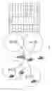 Fig. 13 - MOBILITY PROCEDURES IN WIRELESS NETWORKS WITH DISTRIBUTED REMOTE RADIO HEADS