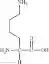 Fig. 52 - Polymers, compositions and methods of use for foams, laundry detergents, shower rinses and coagulants