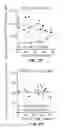 Fig. 04 - SIRTUIN 5 POLYMORPHISMS AND NEUROLOGICAL DISEASES