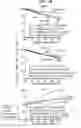 Fig. 09 - SIRTUIN 5 POLYMORPHISMS AND NEUROLOGICAL DISEASES
