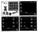 Fig. 01 - METHODS AND COMPOSITIONS FOR DIAGNOSIS OF ACUTE MYOCARDIAL INFARCTION (AMI)