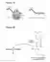 Fig. 02 - RAPID DISPLAY METHOD IN TRANSLATIONAL SYNTHESIS OF PEPTIDE