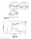 Fig. 15 - SURFACE ENHANCED RAMAN SPECTROSCOPY PLATFORMS AND METHODS