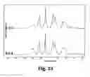 Fig. 16 - SURFACE ENHANCED RAMAN SPECTROSCOPY PLATFORMS AND METHODS