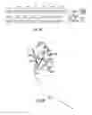 Fig. 03 - ANTI-MICROBIAL AGENTS AND COMPOSITIONS AND METHODS OF PRODUCTION AND USE THEREOF