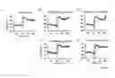 Fig. 04 - Method and compositions for treating stroke with fever