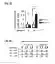 Fig. 04 - Method to Detect or Treat Painful Bladder Syndrome based on Relation to Quinone Oxidoreductase 1