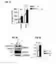 Fig. 06 - Method to Detect or Treat Painful Bladder Syndrome based on Relation to Quinone Oxidoreductase 1