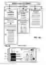 Fig. 07 - Method to Detect or Treat Painful Bladder Syndrome based on Relation to Quinone Oxidoreductase 1