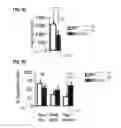 Fig. 10 - Method to Detect or Treat Painful Bladder Syndrome based on Relation to Quinone Oxidoreductase 1