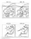 Fig. 08 - SPECIFIC BINDING SITES IN COLLAGEN FOR INTEGRINS AND USE THEREOF