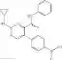 Fig. 1007 - PROTEIN KINASE MODULATORS