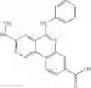 Fig. 737 - PROTEIN KINASE MODULATORS