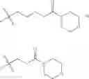Fig. 27 - PI3 kinase inhibitors