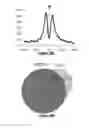 Fig. 49 - PURIFICATION PROCESS OF NASCENT DNA