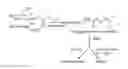 Fig. 01 - METHODS AND PHARMACEUTICAL COMPOSITIONS USEFUL FOR TREATING PSORIASIS