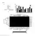 Fig. 02 - Class- and isoform-specific HDAC inhibitors and uses thereof