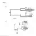 Fig. 07 - Class- and isoform-specific HDAC inhibitors and uses thereof
